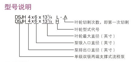 DSJH型石油化工流程泵